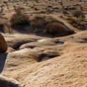 NAM ERO Spitzkoppe 2016NOV24 CampHill 042 : 2016, 2016 - African Adventures, Africa, Camp Hill, Date, Erongo, Month, Namibia, November, Places, Southern, Spitzkoppe, Trips, Year